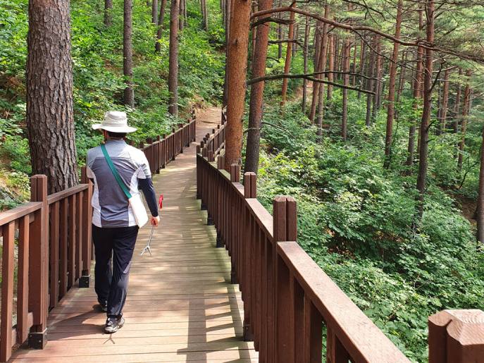 The Joy of Active Travel In Korea